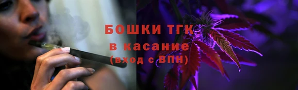 ПСИЛОЦИБИНОВЫЕ ГРИБЫ Аркадак