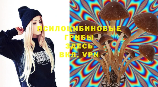бутират Баксан