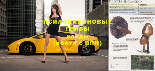 ПСИЛОЦИБИНОВЫЕ ГРИБЫ Аркадак